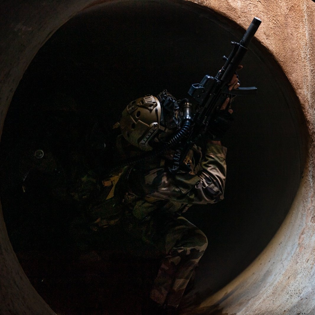 Remnantize's tweet photo. French 9th Marine Infantry Brigade https://t.co/dg0kVjbr7d