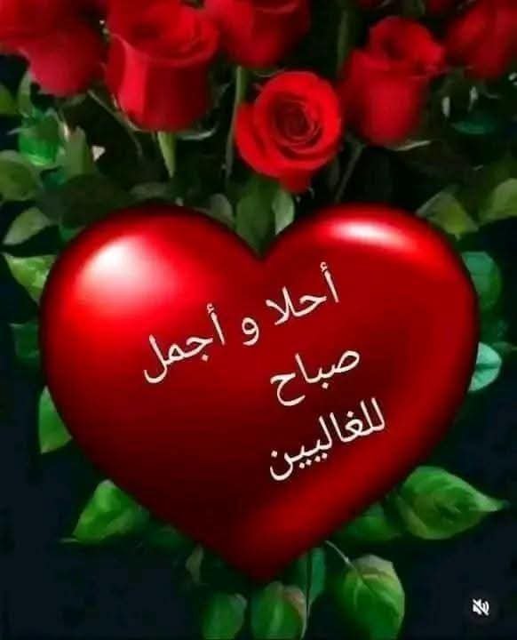 ammhmda36026397's tweet photo. هــــناك مــــن رســموا في #قــــــــــــلــــــوبنـــــــــا وساماً عظيماً وأثراً طيباً بكلمة🤍 جميلة، أو عبارة طيبة، أو نصيحة، أو دعاء 🤲، ومهما ابتعـــدوا أو ذهبــــوا سنظل نذكرهم، وكلما ذكرناهم سعدنا بذكرهم 🥀
​ونسأل الله أن يسعد أيامكمً، ويشرحّ صدوركمً، ويزيل همومكمً.. ⚘️ https://t.co/lb15CWv9d5