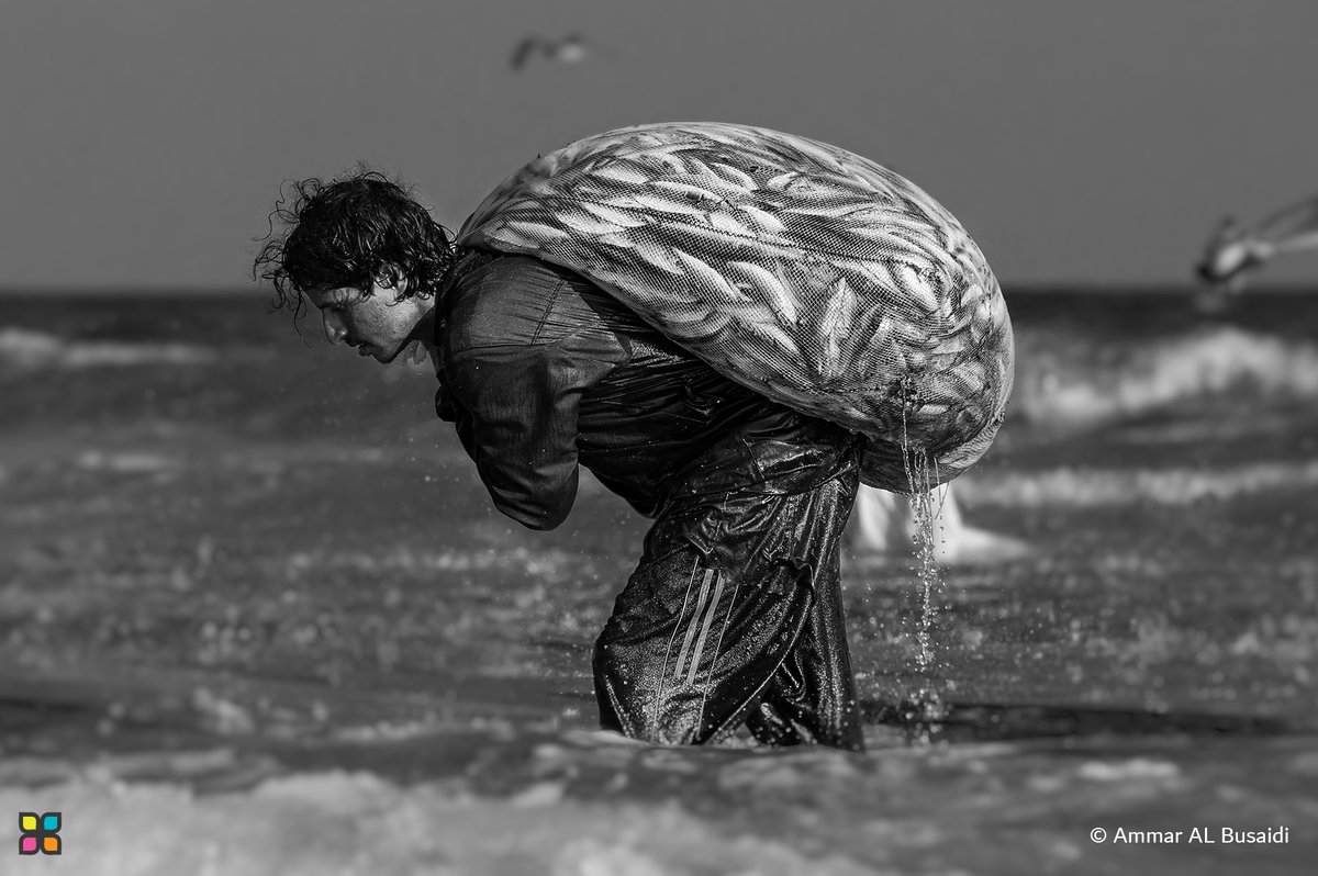 HIPAae's tweet photo. 📸 #PhotoOfTheDay 

"Unspoken Strength | القوة الصامتة"

© Ammar AL Busaidi | Sultanate of Oman - Merit Medal Recipient, Power

#HIPA #HIPAae #Photography #PhotographerLovers #Oman #BlackandWhitePhotography #Countryside https://t.co/b7xnXYEPBO