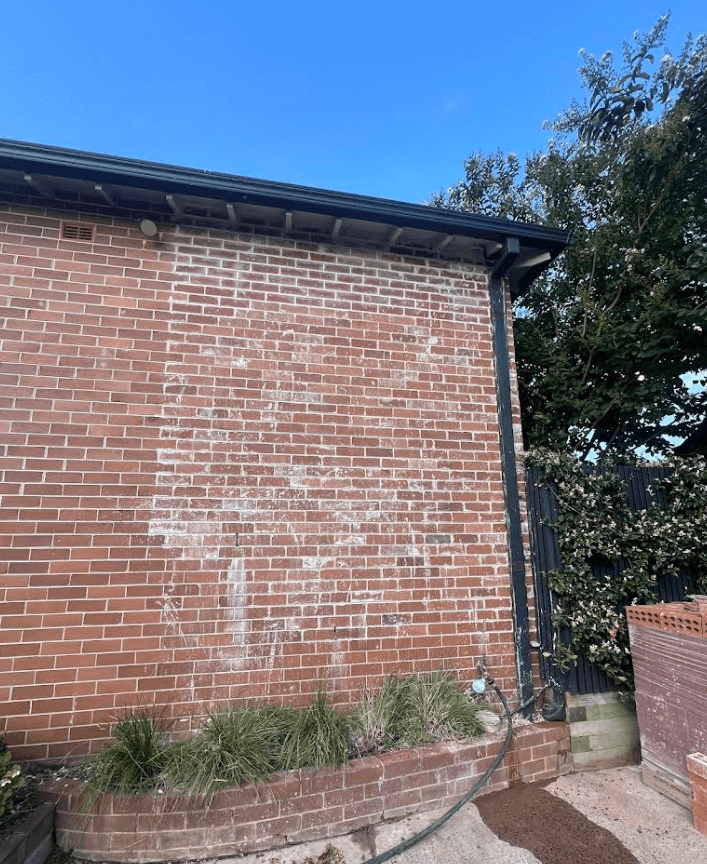 KasperHigh8's tweet photo. Brick Treatment  Sydney
Brick Treatment in Sydney
Sydney Brick Treatment  
#BrickTreatment #Sydney #BrickRestoration #SydneyServices #HomeImprovement #BrickCleaning #ExteriorCleaning #BuildingMaintenance
Visit:https://t.co/OgPmBaBV96 https://t.co/JXw9TyEJ13
