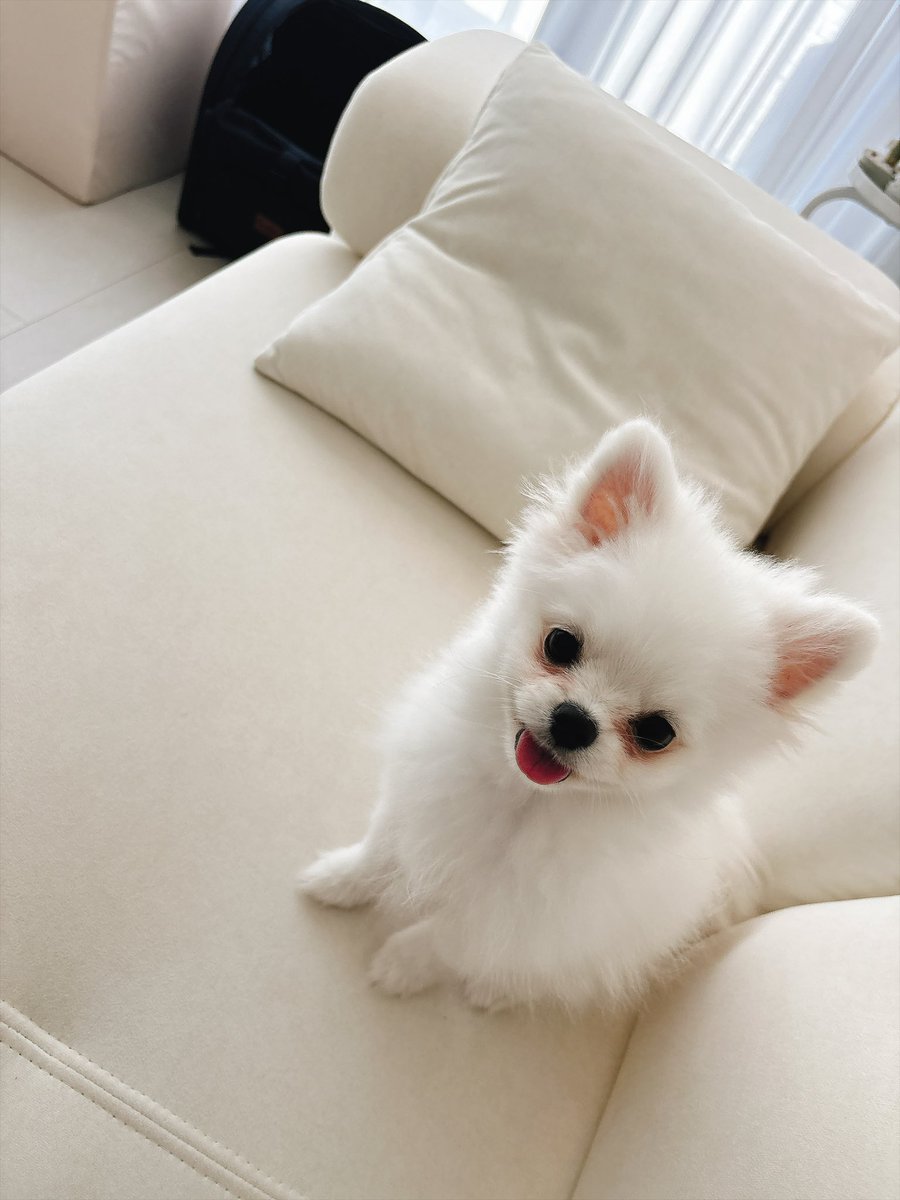 _ch0ux's tweet photo. 행복행 https://t.co/asG1vKRWzd