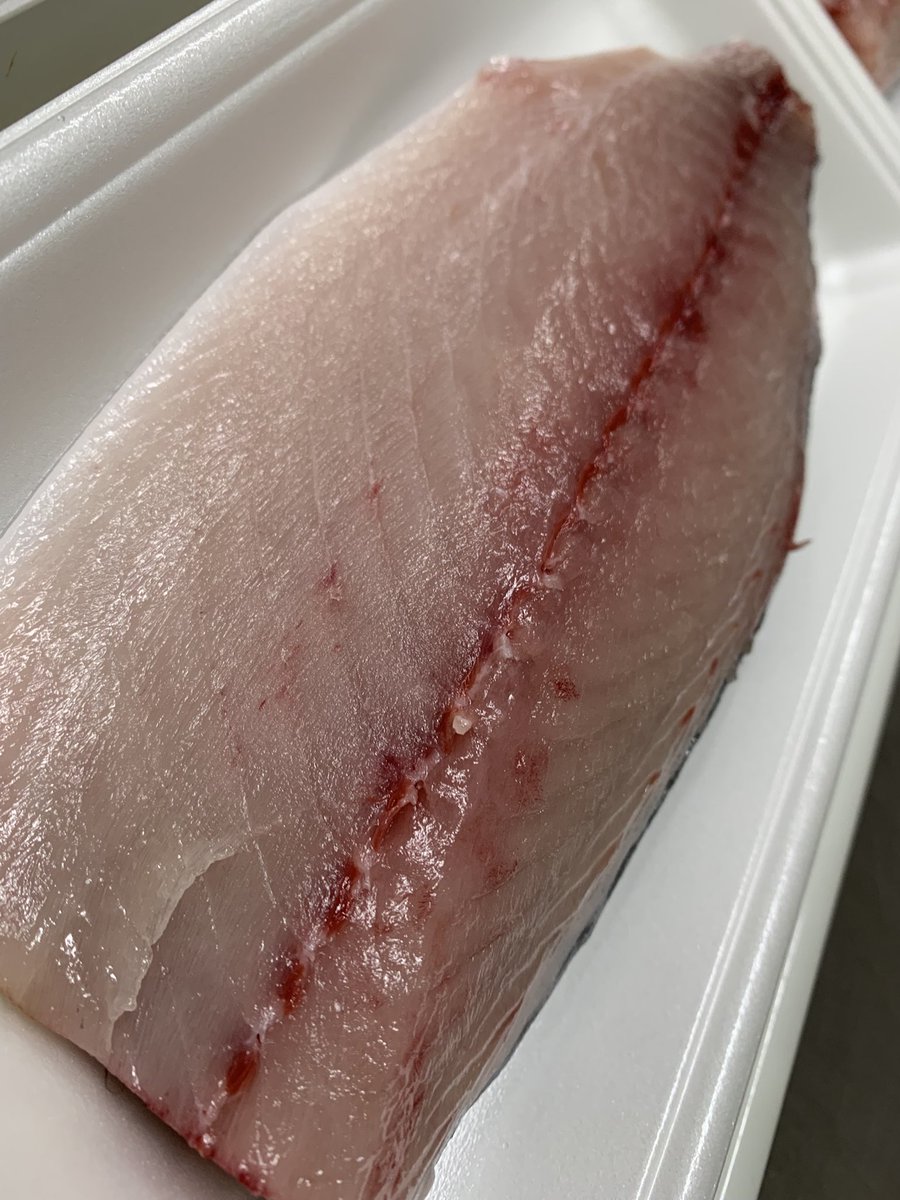 skanayaneko's tweet photo. お魚の名前分かるかな❓🤗 https://t.co/sA7OmFxrpN