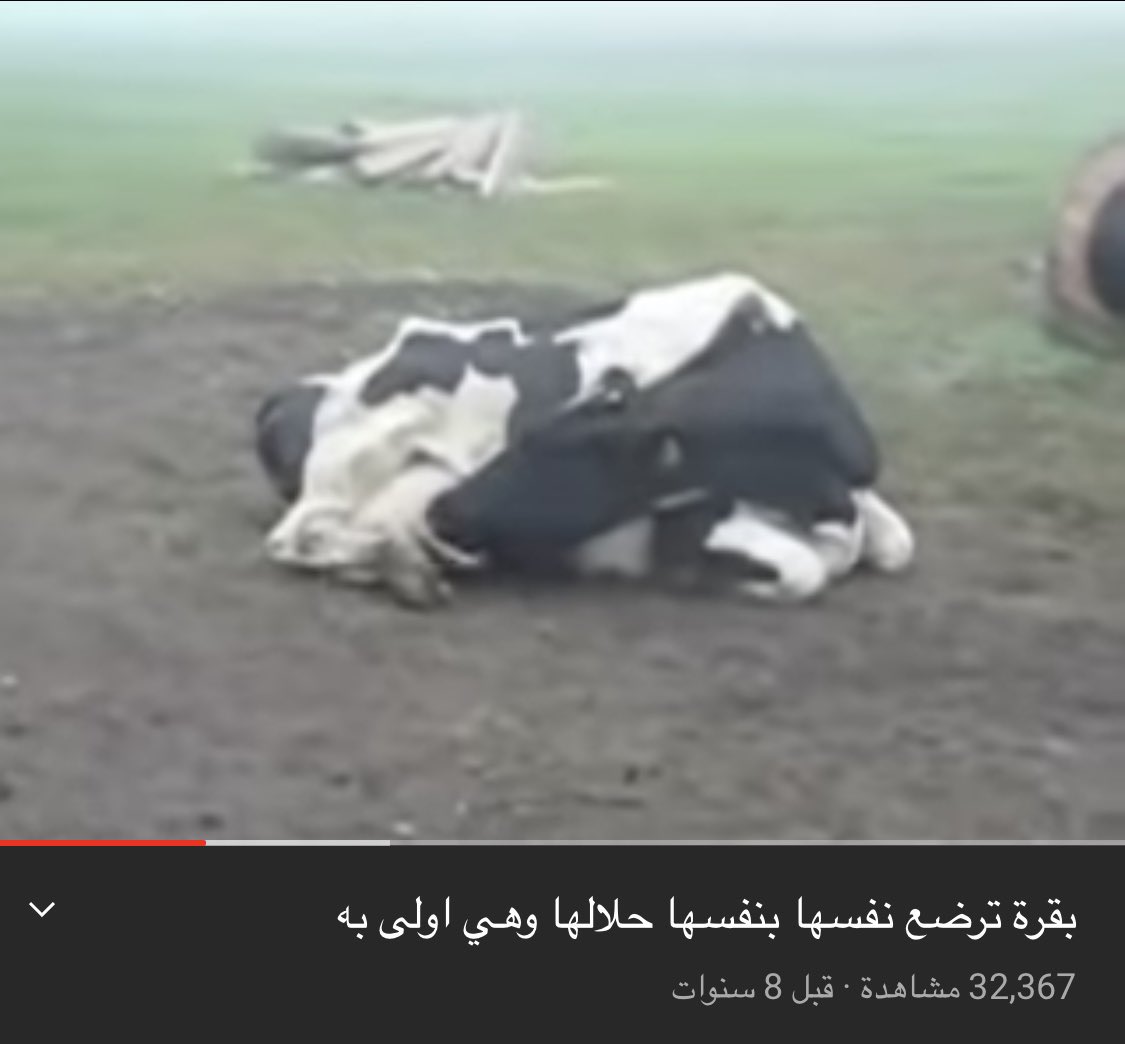 notmeatall0's tweet photo. اشتريت اغراض من الصيدليه الي اداوم فيها بيوزري عشان تحسب لي مبيعات: https://t.co/gc8muVHDA7