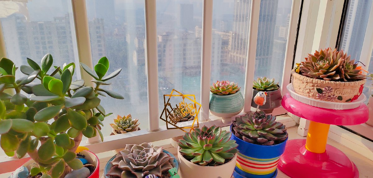 nGOKU_'s tweet photo. Turn old glass jars into stylish plant vases! Just add some paint and tiny succulents—simple, eco-friendly decor that brightens any space. #UpcycleDIY https://t.co/nEZmoycT24