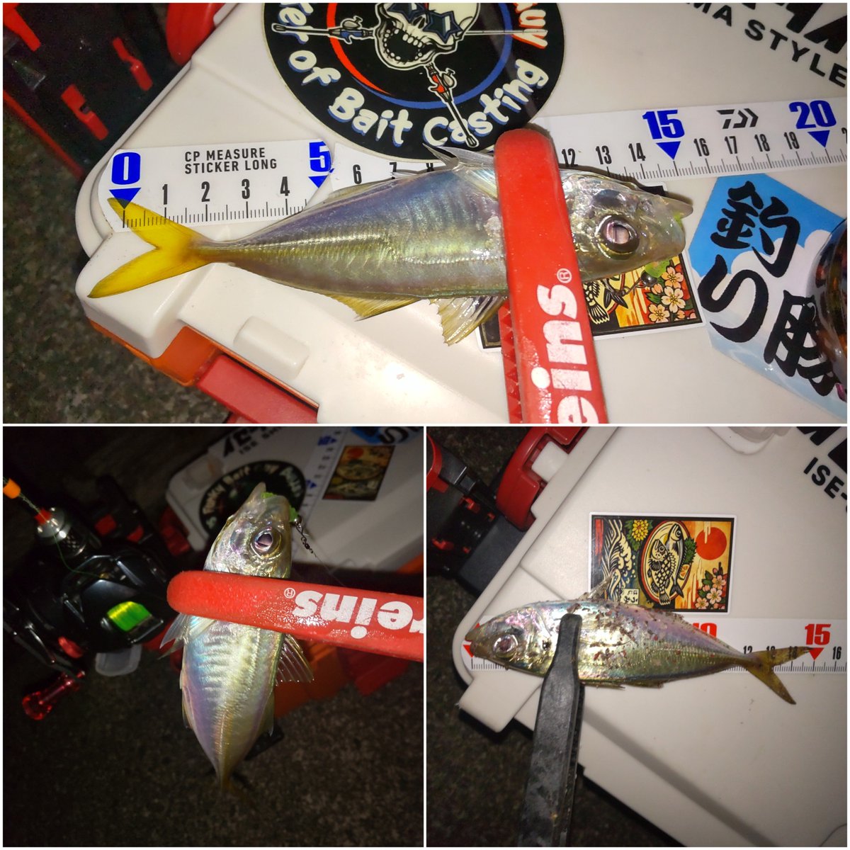 hanimal46's tweet photo. ダメだ、コレを釣りに来たわけじゃない…
オールリリースで

撤収ー😟

#南方作戦
#お二人様 https://t.co/D8gJFvImZX