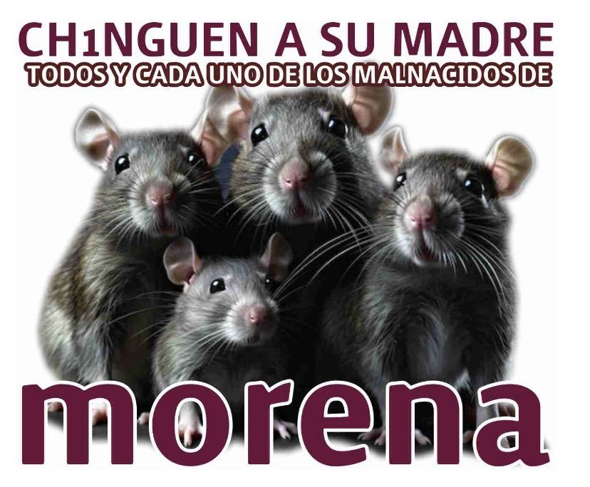 PaulinaAcevedoK's tweet photo. Prohibido olvidar que el Partido Morena es un nido de Ratas 

#MorenaCuevaDeDelincuentes 
#MorenaOrganizaciónCriminal https://t.co/77DMWglUll