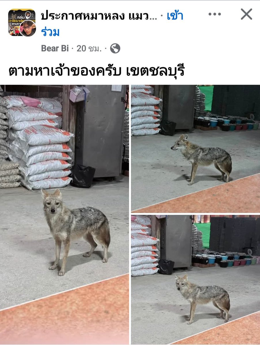 jstnoomam's tweet photo. เนี่ยยยยย https://t.co/JKgNRHJ9Su
