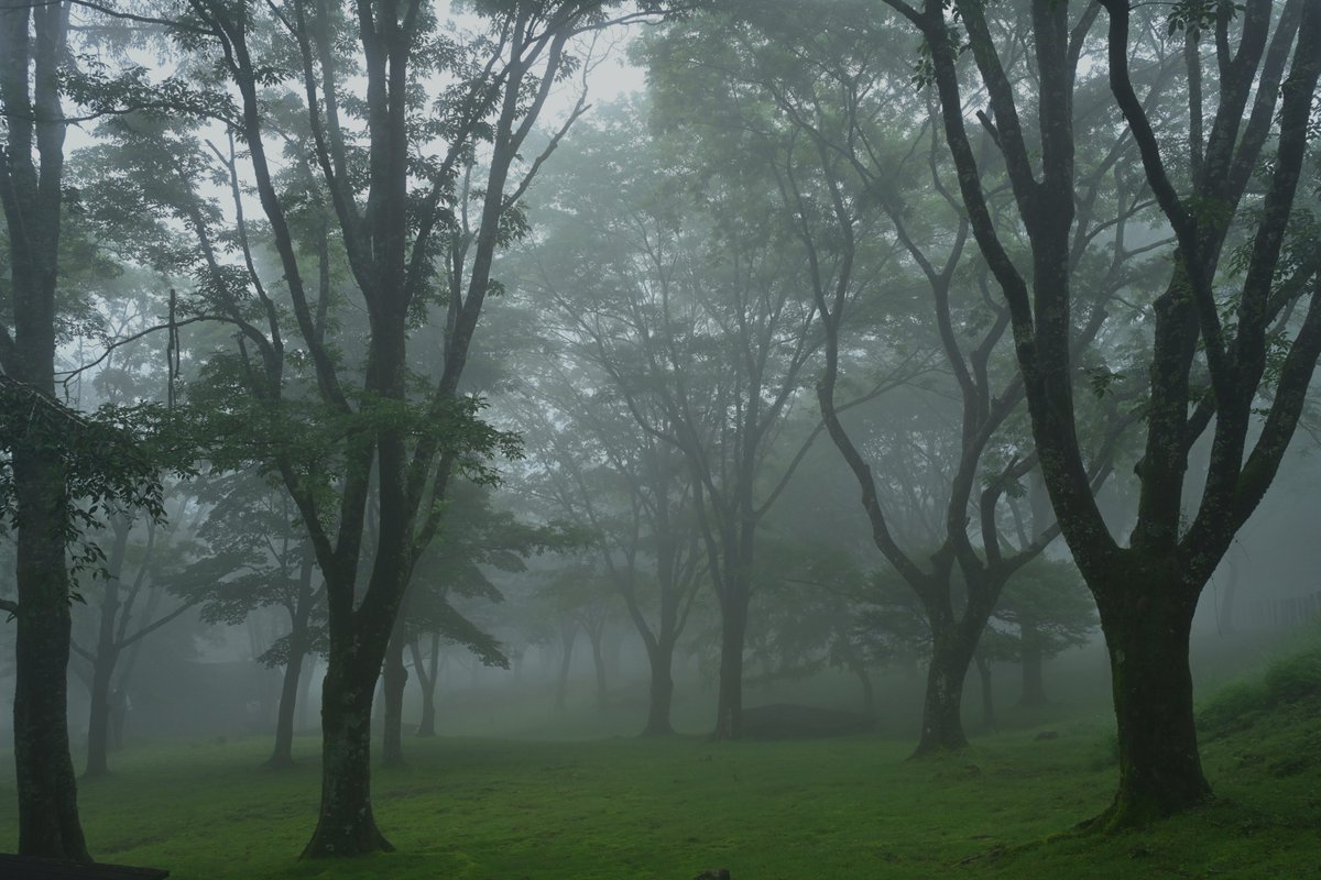 8703photography tweet picture