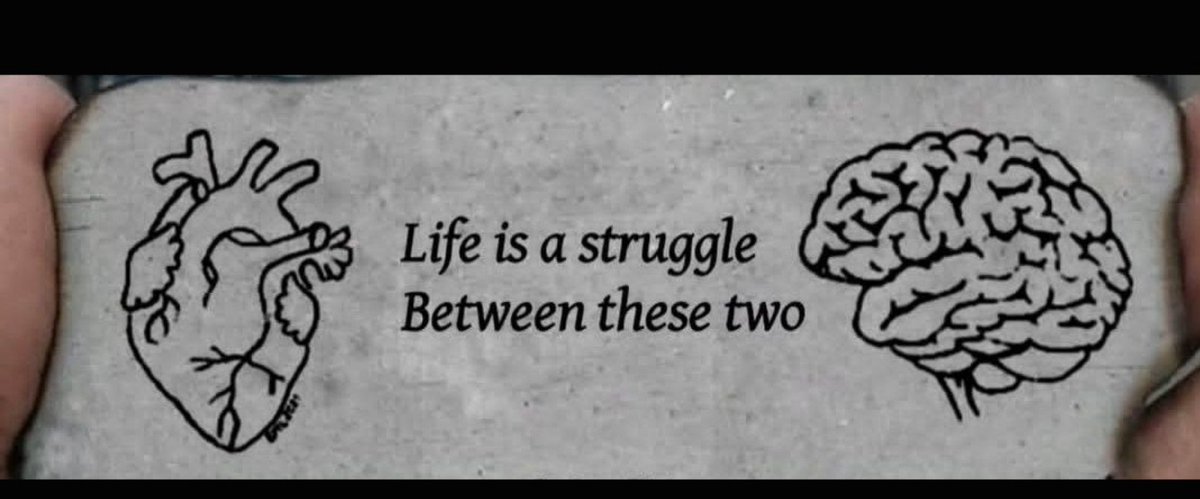 Shoaibhassuk's tweet photo. Good evening my dear friends https://t.co/WOIg9lFzKj