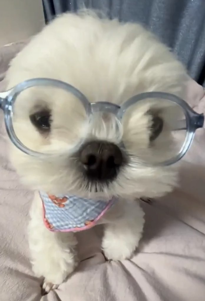 cottoncandypies's tweet photo. คนไหนน้องป๋อ♡ ♡ ♡ ♡ ♡ ♡ ♡ ♡ ♡ ♡ ♡ ♡ ♡ ♡ ♡ ♡ ♡ ♡ ♡ ♡ ♡ ♡ ♡ ♡ https://t.co/WCbvOV2NNt