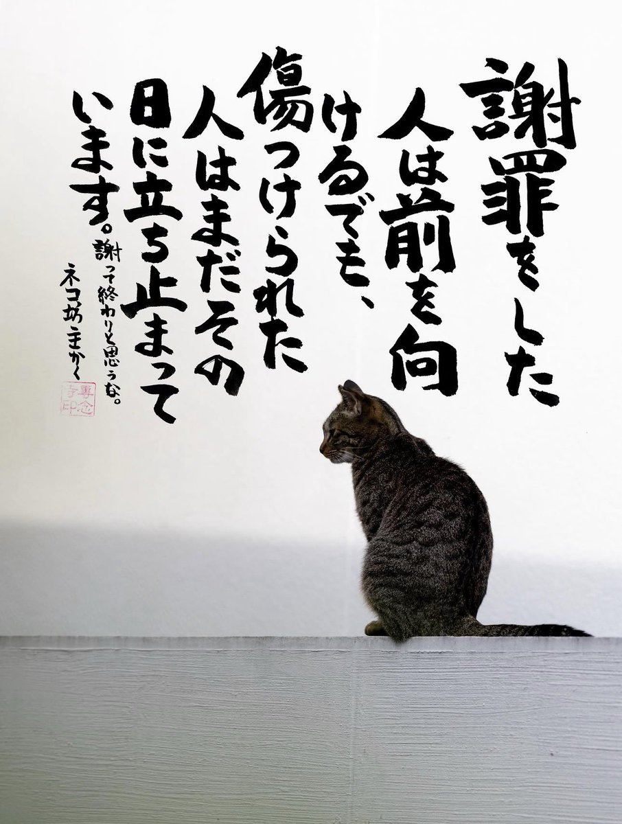 yabumoto610's tweet photo. ネコさんから人間さんへ今日の一言 https://t.co/jpf7lo7XUz