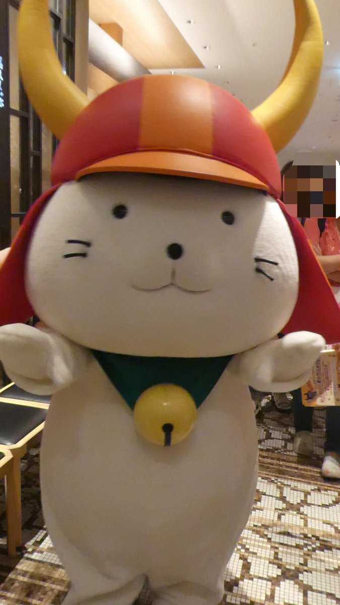 miomon911's tweet photo. 2026年8月11日(火・㊗️)

17時～

なんばダイニングメゾン「わくわく！夏のグルメ合戦！」

・グリーティング

●フロアにゃんにゃん大闊歩！

人が多くて大変やけど短時間で、 #ひこにゃん が帰っていきました😹😹😹

📍高島屋大阪店 https://t.co/Rr3Ueqx9Pr