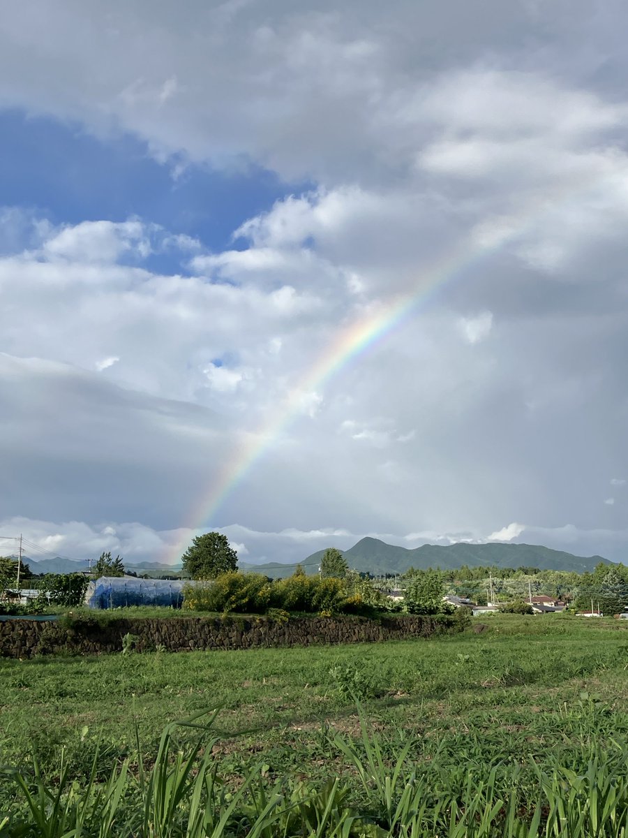 nezuusa1's tweet photo. 山の八月。
オーバーザレインボー
。虹の彼方に夢と幸せがありますように！ https://t.co/EBfAhEEXFd