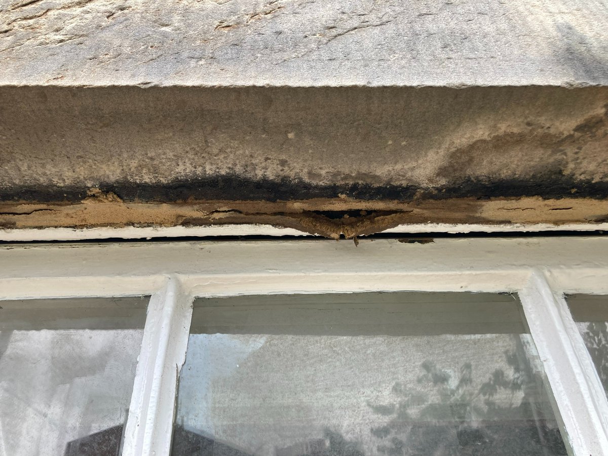 EdinburghWH's tweet photo. Phase 1 began last week for the #FuturHist UK Lister Demo Case on a B-listed tenement flat in Edinburgh Scotland. https://t.co/xH6JZk4bjA
