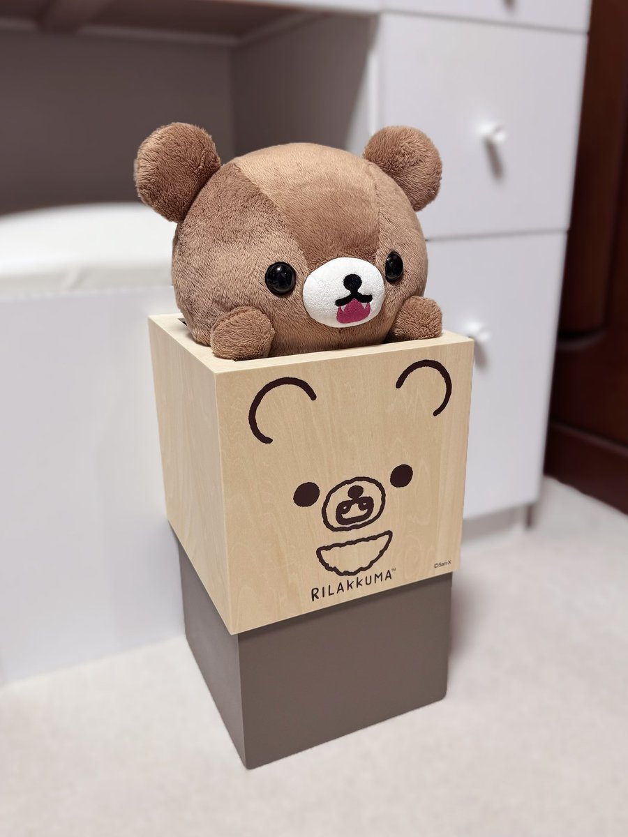 がおぉの新しい居場所、見つかりました😆 #こぐまちゃん