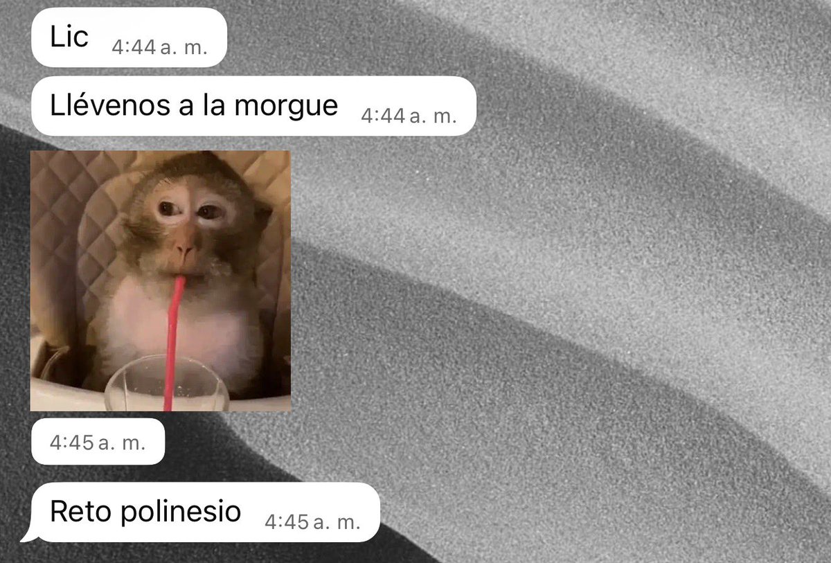 alevnhartz's tweet photo. Mis estudiantes de la nada: https://t.co/ADCdgne0TF