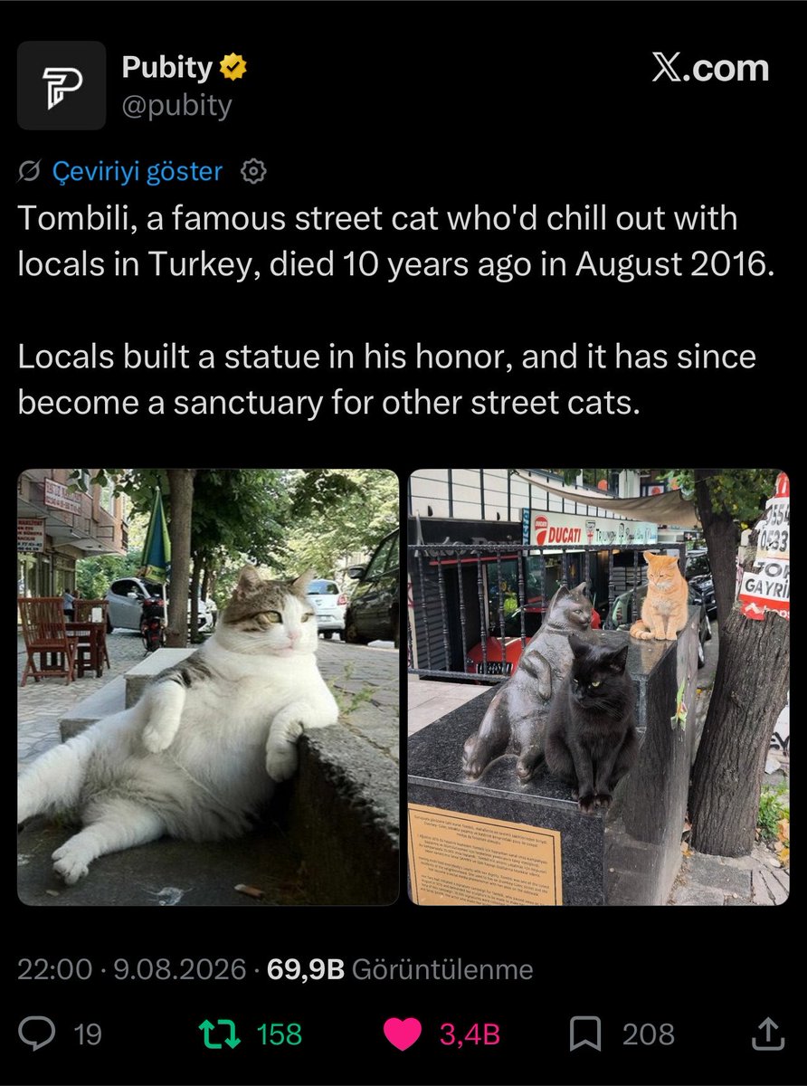 shikayachi's tweet photo. @ggim007 @latin_amerikada Bro we trend for treating our cats and dogs like family while your whole barbaric country is literally outlawing dog meat in 2027 😭 Don't worry, none of us wanna step foot in your plastic-surgery dystopia anyway. Keep your dog-eating culture to yourselves, uneducated clowns. https://t.co/Q9tsOip9qV