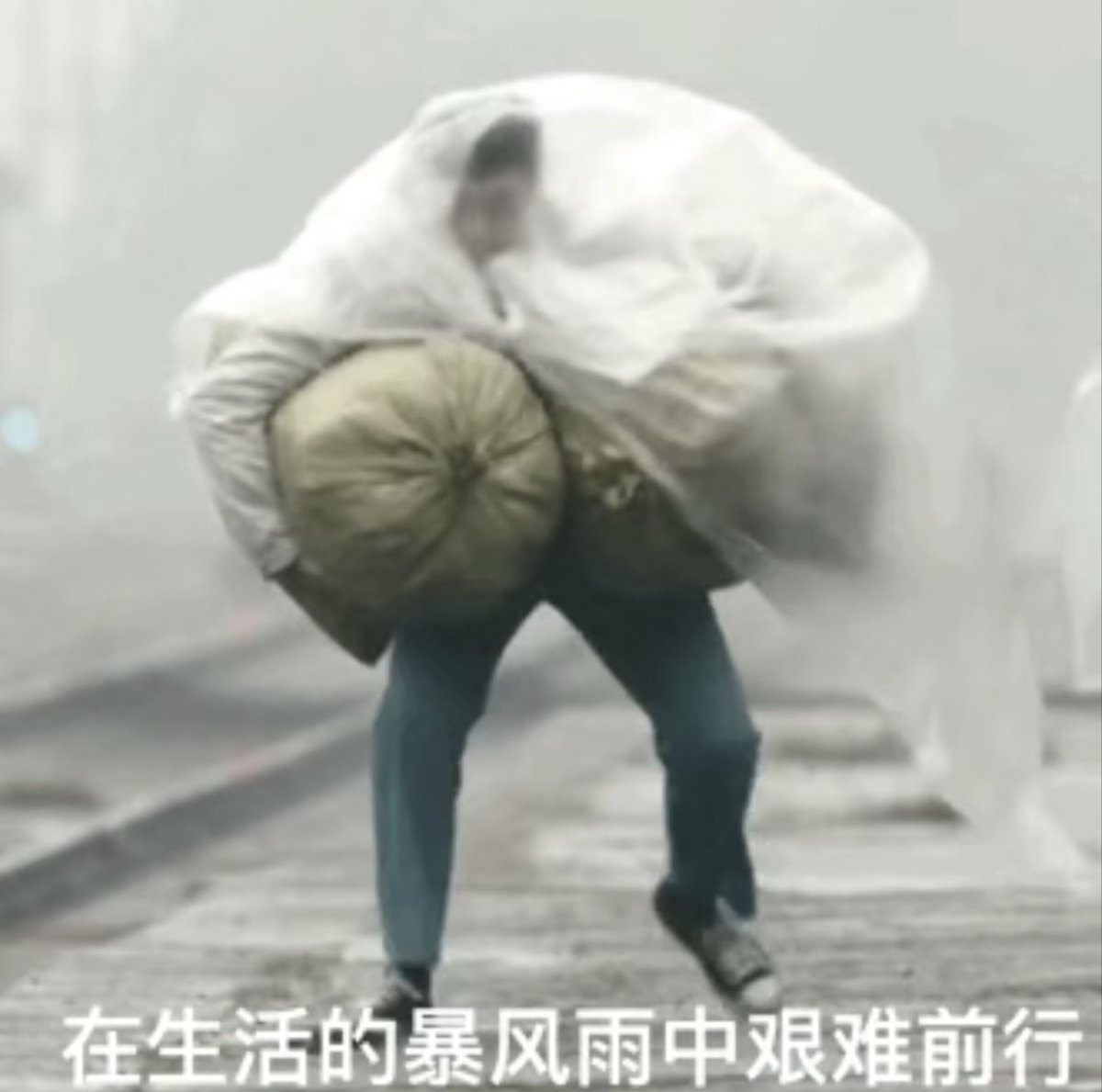 luorizql's tweet photo. @Ongsacelcius1 宝宝 还是你老公来替你扛吧，妈咪九十斤的身体抗不了这么重的大米🥺 https://t.co/XTgYQtut8V