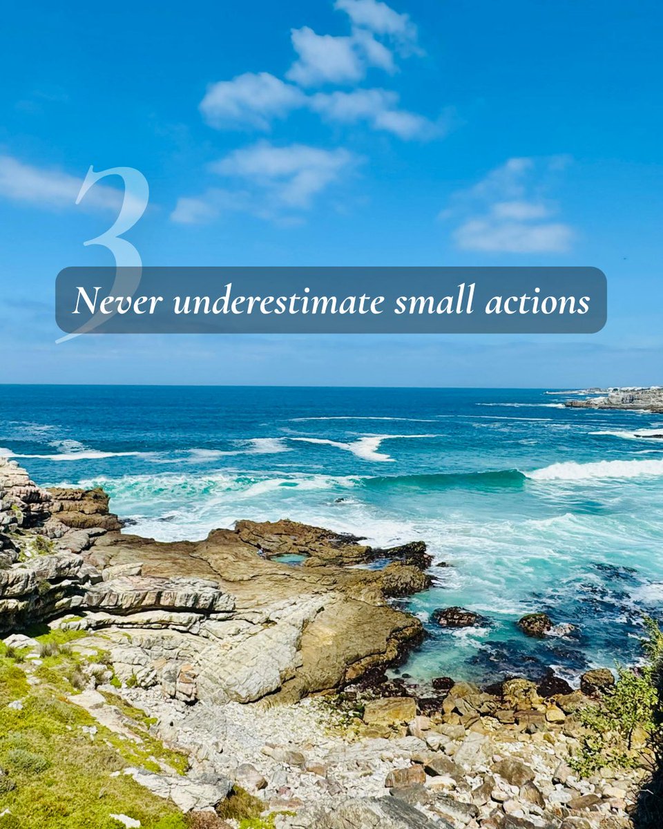 WWFSouthAfrica's tweet photo. 🌿 Five women. Five lessons. One planet.
This Women's Day, we're celebrating conservation leaders whose stories remind us that lasting change starts with courage, collaboration and small actions.

📖 Read all five lessons: https://t.co/f5dkRvuxGt

#WomensDay #WomensMonth https://t.co/YMA3whpNFt