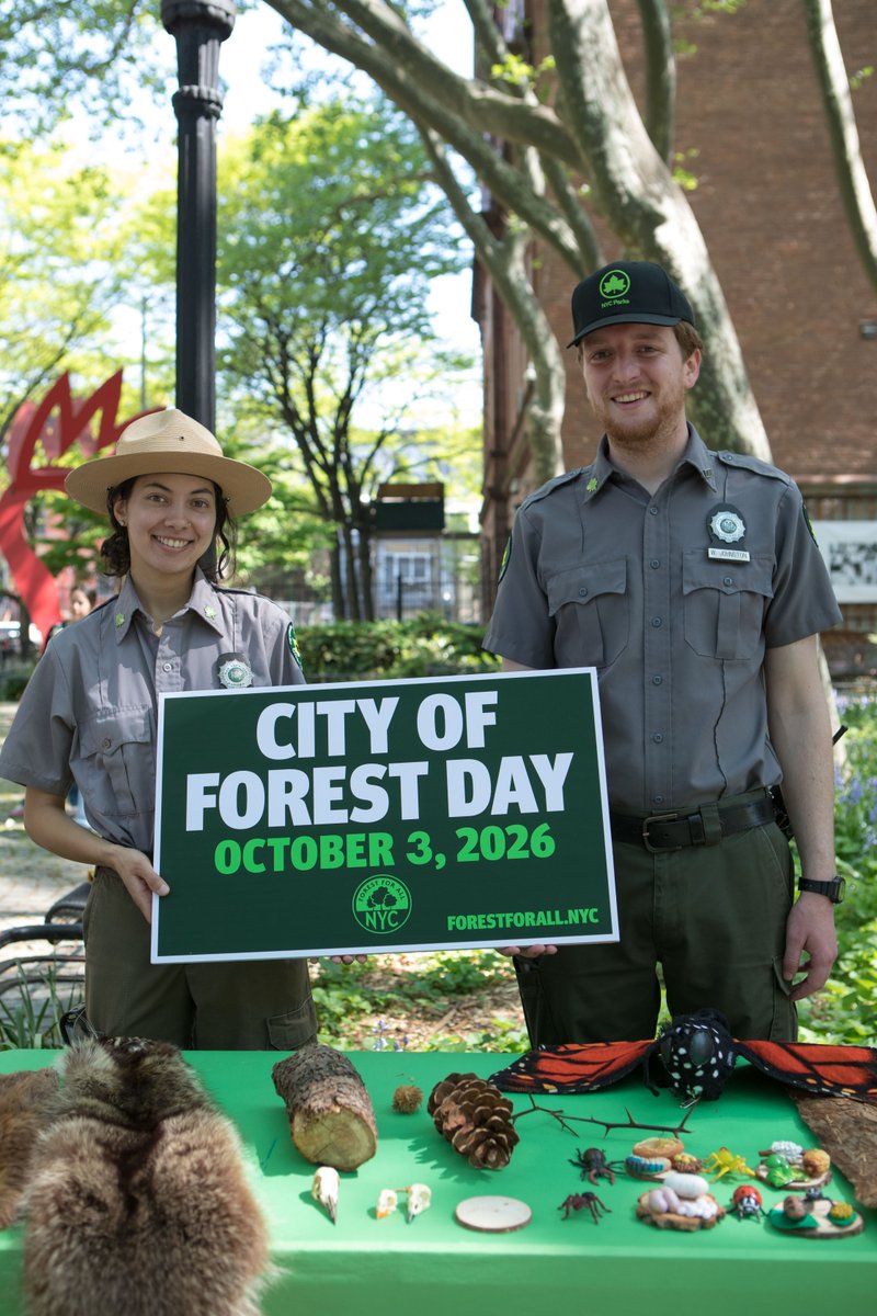 TreesNewYork's tweet photo. A diverse, healthy #urbanforest supports wildlife and pollinators! Trees New York plants native species like #Maple, #Birch, and #Dogwood to boost #biodiversity across NYC. Mark your calendars and celebrate #CityofForestDay with @ForestforAllNYC on October 3, 2026! #NYCtrees https://t.co/pr9riHjoGe