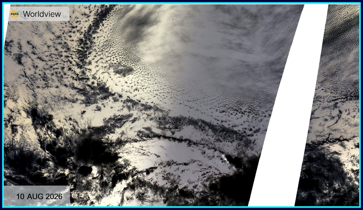 DaDaBuh's tweet photo. W/WO DA #PAREIDOLIA @WxmanTony WHISKEY BOTTLES N BRAND NEW CARZ OAK TREE UR N MY WAY...YSTRDY'S HI-RES #MYVIEW...EW EW (ESTRLY WAVES) DAT SMELL CAN'T U SMELL DAT SMELL @Skynyrd THA SMELL OF DEATH SURROUNDS U OH U AH FOOL GONE STICK DOSE NEEDLES N UR ARM...
EW EW DAT SMELL https://t.co/4kUSXZkXyR