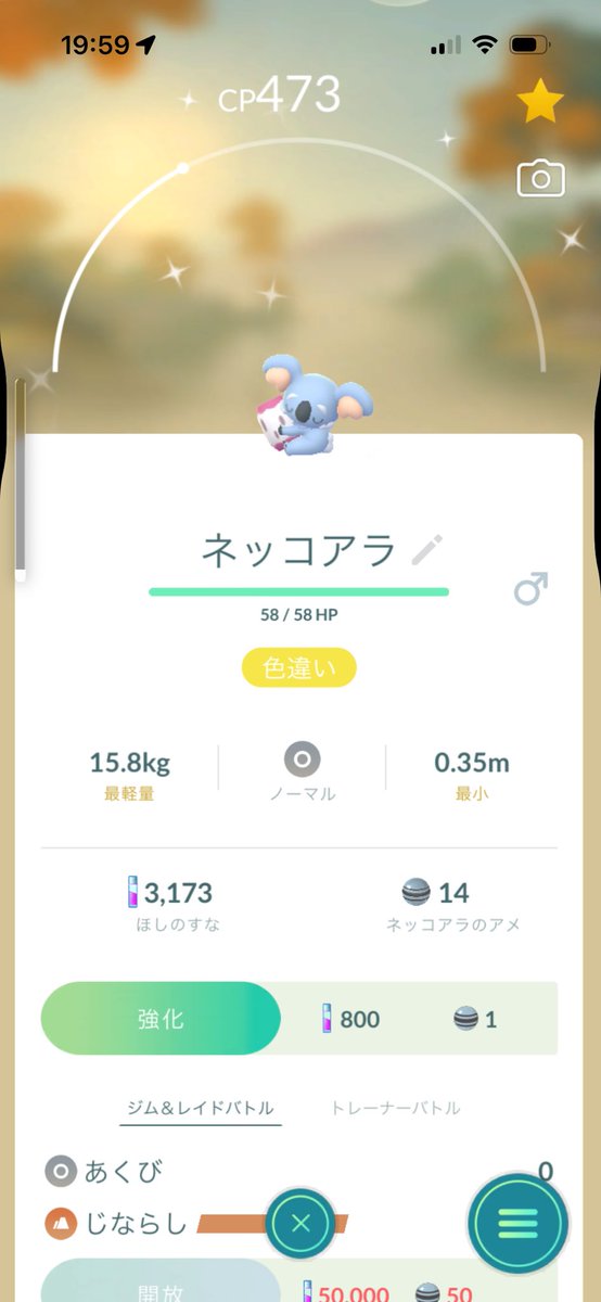 uioplmj's tweet photo. 今日歩いて出てきた色違い

ちなみに昨日はサブ垢で色違いアローラロコンとイーブイ出てきた

本垢の運の無さ...
ギラティナとランプラーの色違い欲しかったよ...

#ポケモンGO https://t.co/JlRfkueJa7