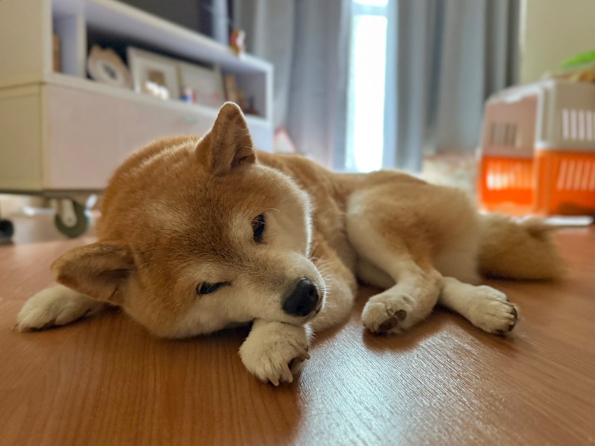 megaboxmemo's tweet photo. https://t.co/vfATZazXA5