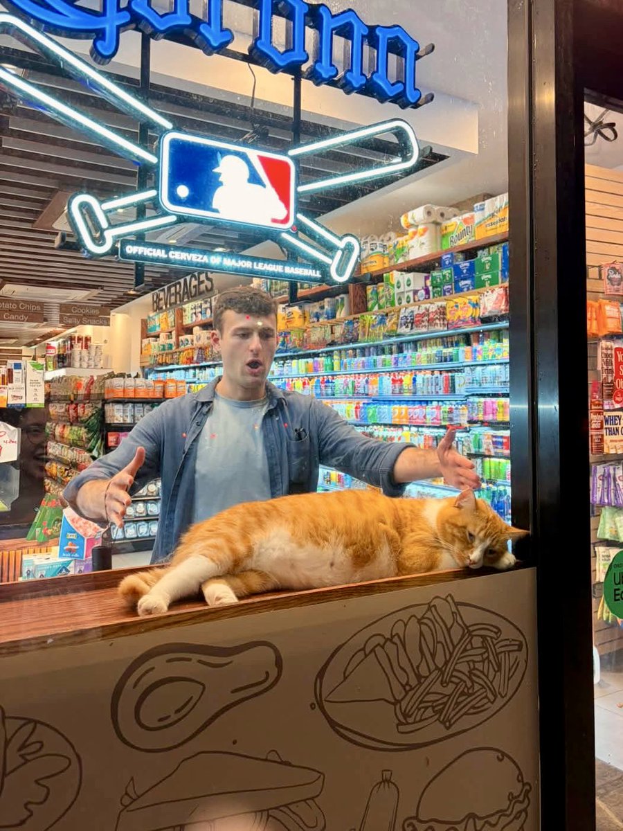 Bodegacats_'s tweet photo. https://t.co/KEN9KGNQns