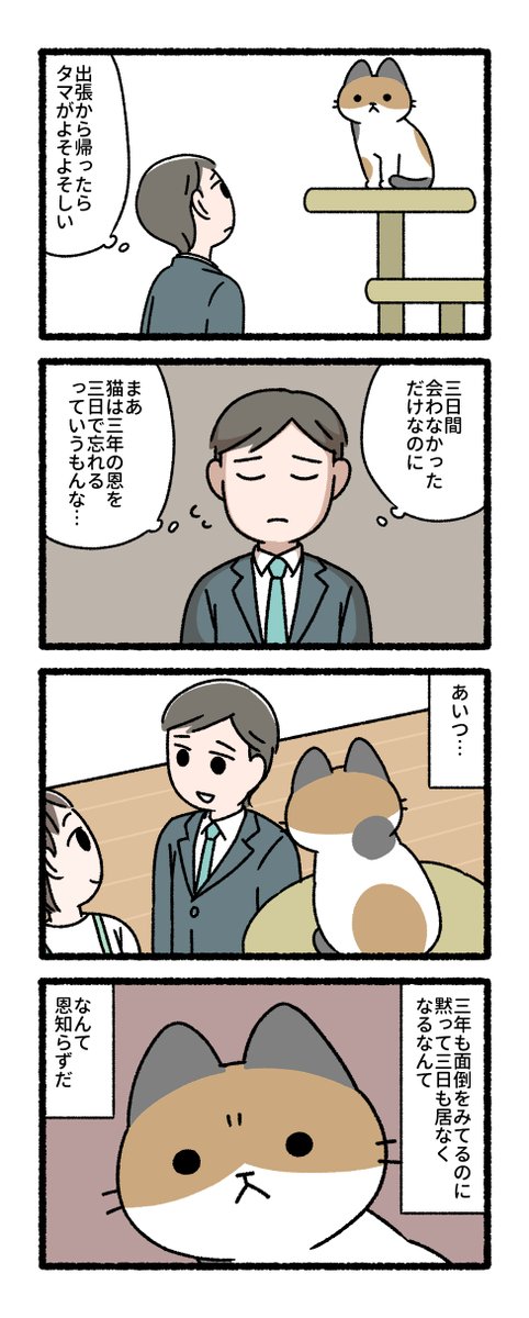 pandania0's tweet photo. 猫にまつわることわざや言葉の漫画（1/3）
猫は三年の恩を三日で忘れる https://t.co/fquOU9CsH2