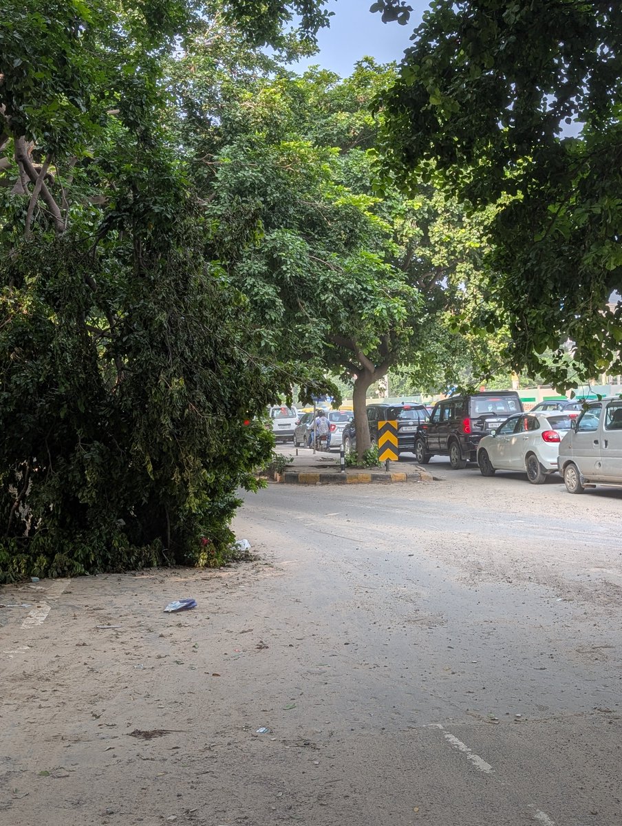 CaJitennder's tweet photo. @MunCorpGurugram For the last around one week this tree is broken and it's big branch is hanging on road, can be hazardous to passers by..MCG is sleeping ! Place is near Bakhtawar chowk slip road towards Mayfield garden. https://t.co/wfBdUtRZuI