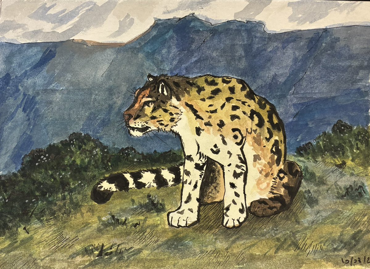 pepeelani's tweet photo. Gouache study https://t.co/24JJJCBKEB