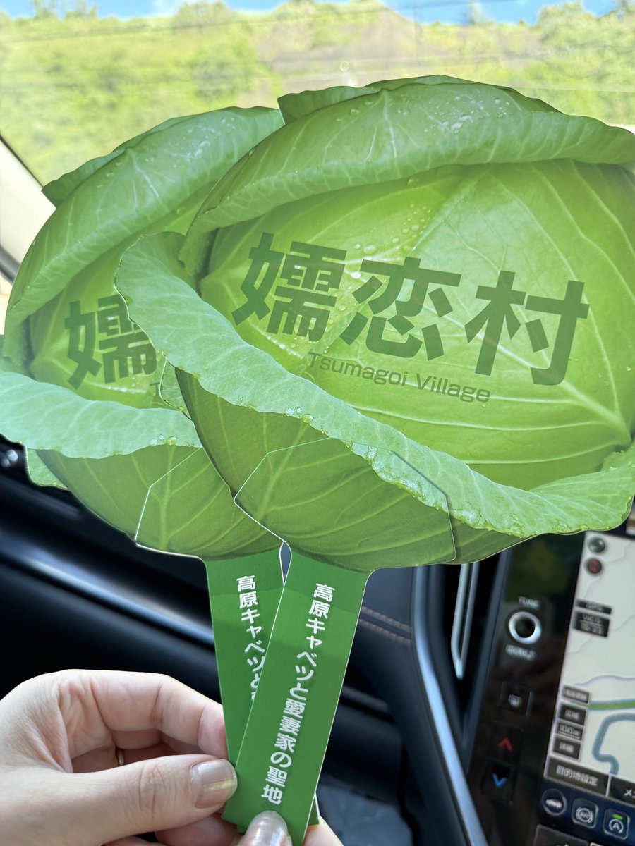 UK_yukei's tweet photo. 群馬県は嬬恋村観光案内所に来ました

万座千斗星ちゃん！
缶バッジとタオルをゲトー。

あととにかくキャベツ推し一本で清々しい😂
サイダーまでキャベツ味です https://t.co/sa1Azf3iwO