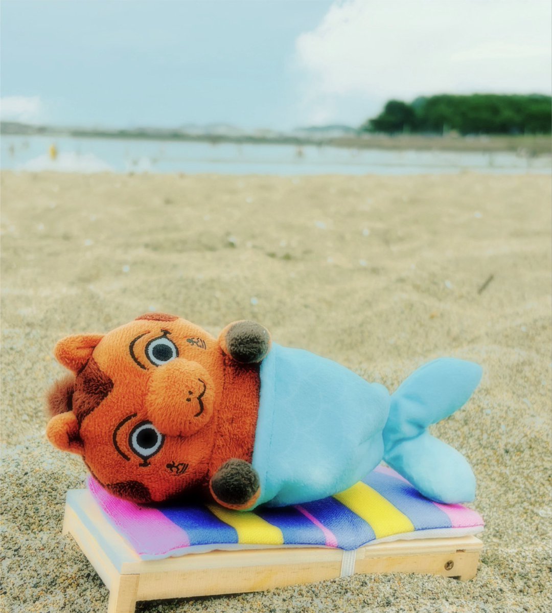 JYoimq's tweet photo. 魅惑のマーメイド🧜‍♀️ https://t.co/UGBy5t6eEp