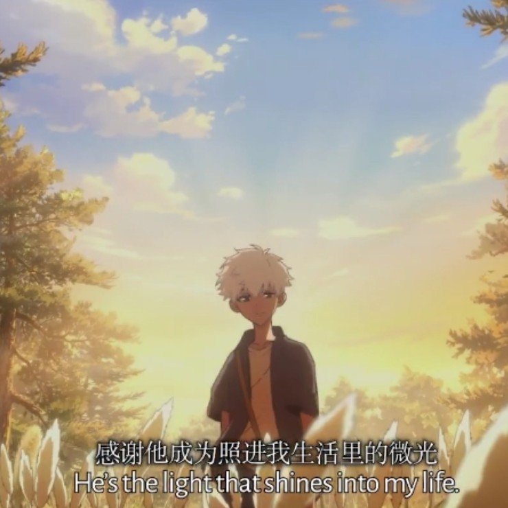 M1niseas's tweet photo. This is enough to make a grown up cry https://t.co/YIHWJaoRa3