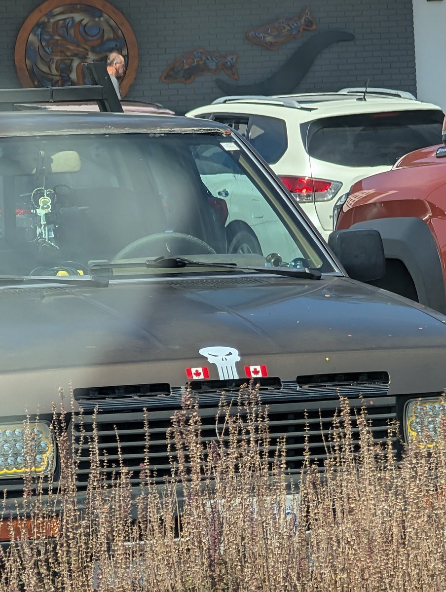 cioranstan's tweet photo. Punisher sighting https://t.co/QABkDLSoFE