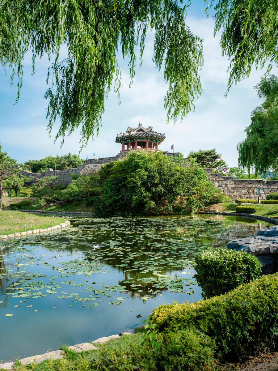 VisitaCorea's tweet photo. Un paseo de verano por el corazón de Suwon 🌿

Si buscas disfrutar de un momento de tranquilidad entre naturaleza y patrimonio, descubre el jardín Wolhwawon y el pabellón Banghwasuryujeong.

📍 Jardín Wolhwawon
Jeongjo-ro 910, Paldal-gu, Suwon-si, Gyeonggi-do

📍 Pabellón Banghwasuryujeong
Yeonghwa-dong 320-2, Jangan-gu, Suwon-si, Gyeonggi-do

Este verano, déjate cautivar por los paisajes verdes de Suwon y disfruta de un agradable paseo. 🌳✨

📸 IG @nmnusutido
