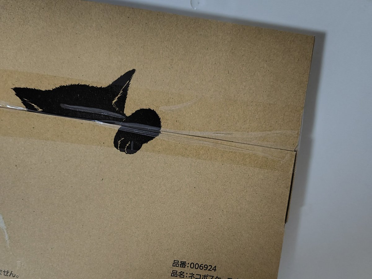 ddaygoodday39's tweet photo. ゆんぎさーん！ネコポスのBOXがこんなに可愛いなんて知らなくてビリビリ開けてしまったよ😿 https://t.co/0NvgbixCiI