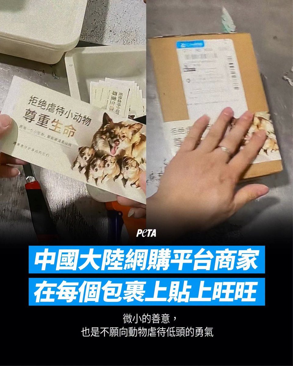 qwert555551ip's tweet photo. 在中國，有一位網購平台商家選擇將聲援「旺旺」的貼紙，貼在每一個寄出的包裹上。

他無奈卻堅定地說：「我不知道這樣做有沒有用，但我只是不想假裝這一切從未發生。」

或許一張貼紙的力量很小，但當每一個收件人願意停下看一眼、願意記住旺旺的名字，我們就在告訴這個世界：動物虐待絕不該被容忍，生命承受的痛苦，更不該被沉默掩蓋！

旺旺與孩子們所受到的殘忍傷害，不該被時間抹去。

請不要停止發聲，直到中國政府願意改變的那一天。

#為動物發聲 #JusticeforWangWang #揭陽旺旺 #反虐待動物法 #可以不愛請勿傷害