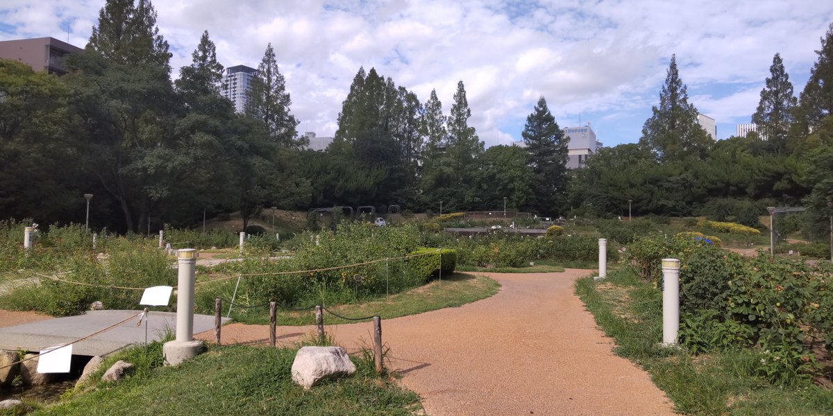dezakinian's tweet photo. 久しぶりの靭（うつぼ）公園。妙な怖さのある石化嵐みたいな像とクレイマー・クレイマー通りとバラの咲いてないバラ園😅 https://t.co/dpl4DNRYY1