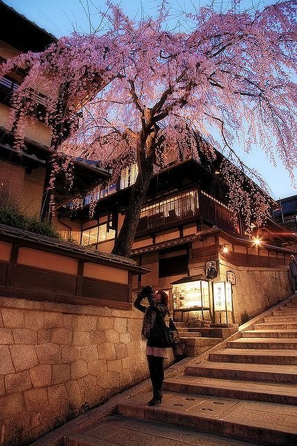 DaisyBerrikdc's tweet photo. 火曜の午後はやっぱり疲れるなー。明日は打ち合わせ入ってるから、今日は早めに夕飯にしよ。冷蔵庫に残ってたアジの干物を焼いて、白米と味噌汁で簡単に。夜はギターの練習したいけど、明日は朝 https://t.co/3sqTlKosCK