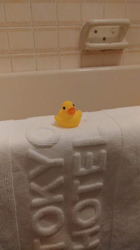 wadaino_taikai's tweet photo. 今晩泊まったホテルで今までに経験したことないサービスを受けている https://t.co/xvG53D9WEk