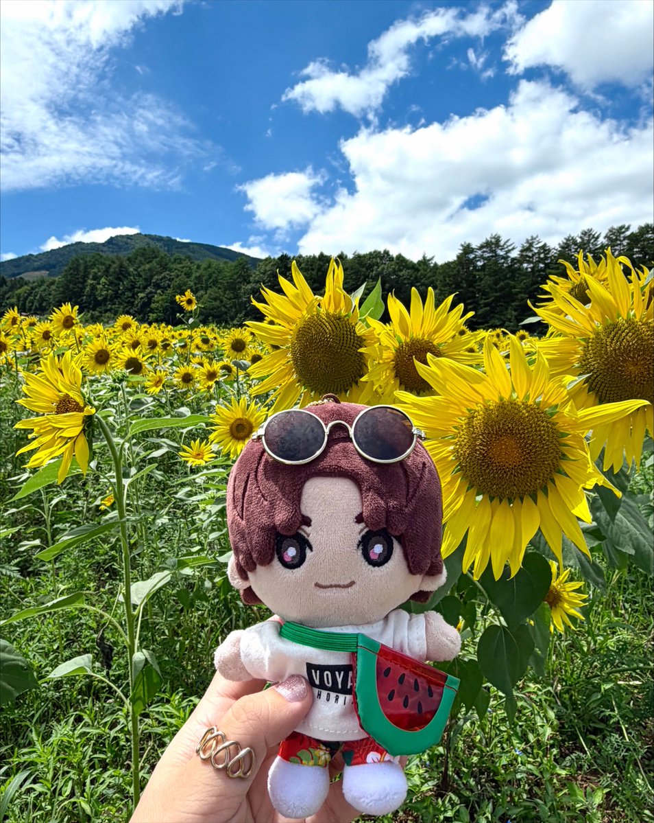 sao_tones's tweet photo. きょもぬいとひまわり畑🌻
きょもぬいも夏コーデにしたよ👍 https://t.co/XHLqURz6zj