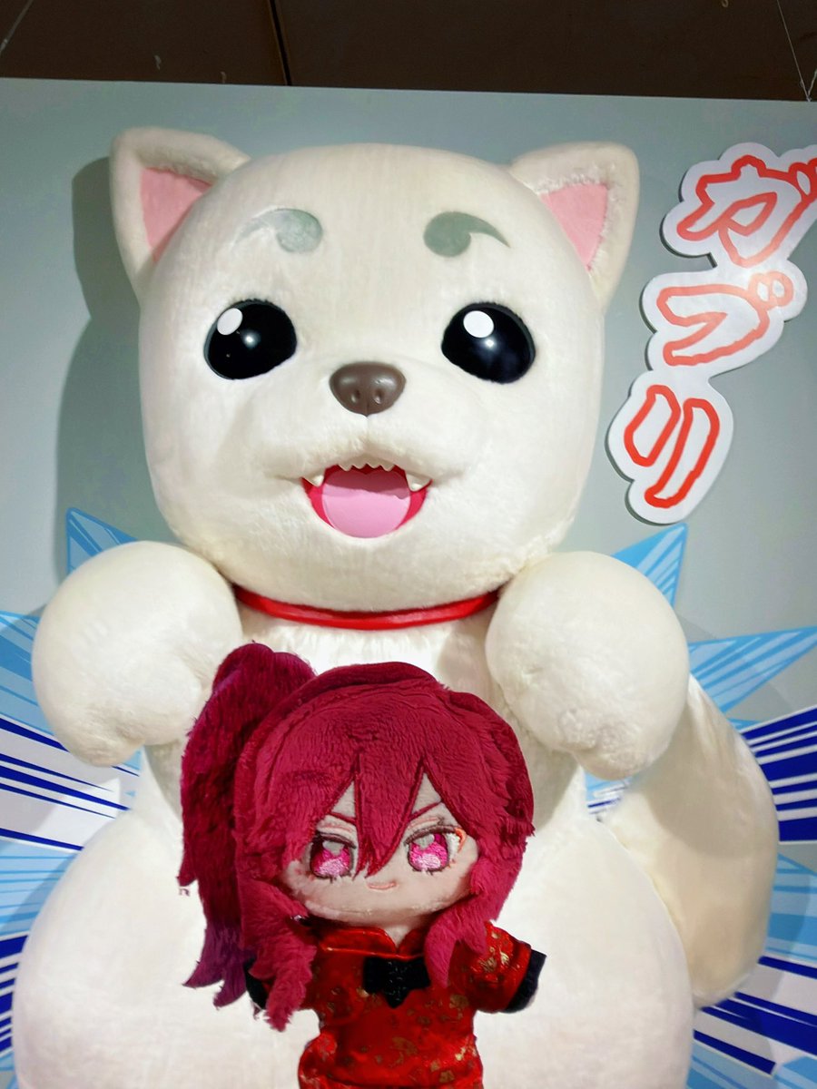 nn1006cm's tweet photo. 定春から洗礼を受けるのぞぬin銀魂展 https://t.co/GuEoSwtBEU