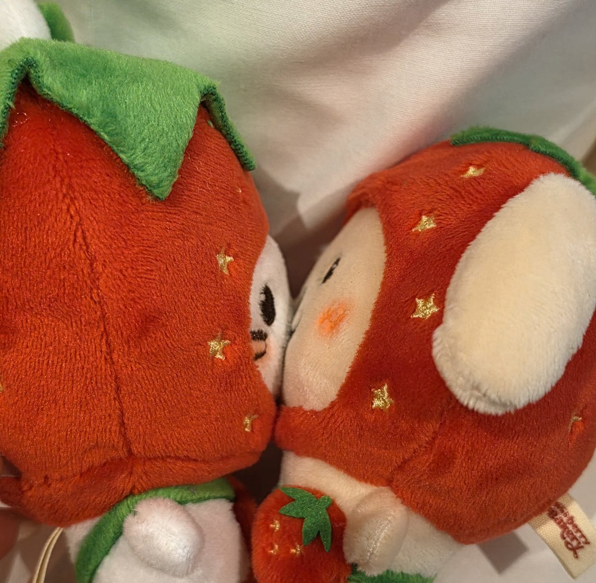 kokonutyd's tweet photo. 왤케볼이뻘겋지? https://t.co/BGfL3PEPE3