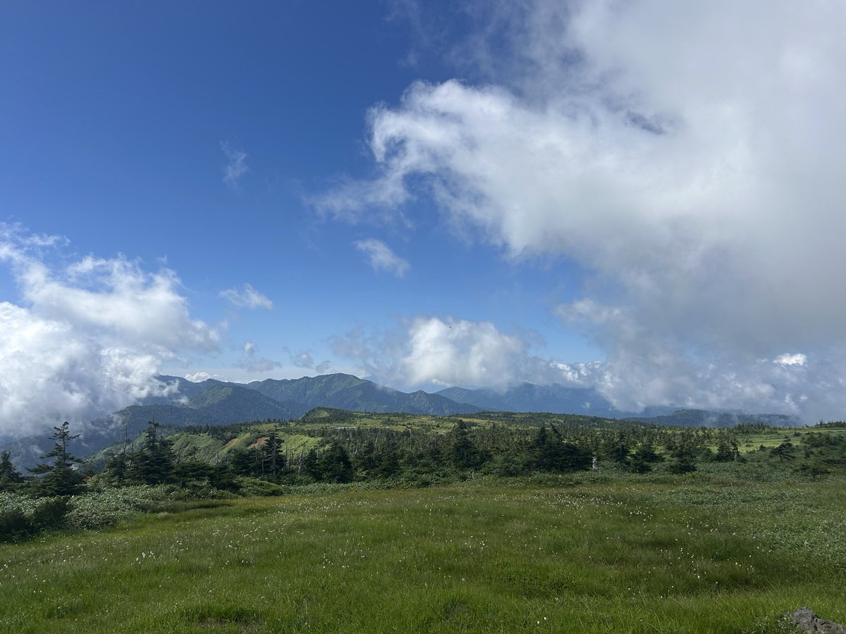 yama_timelapse's tweet photo. というわけで昨日は苗場山の祓川コース

車のアクセス難路の方を忌避したけど、その分少し長いコースで登りもキツめ、でかいアブに追いかけられながら行ってきました。

上越の山って夏に登るのは大変ですね💦 https://t.co/JC8Ww0AWhi