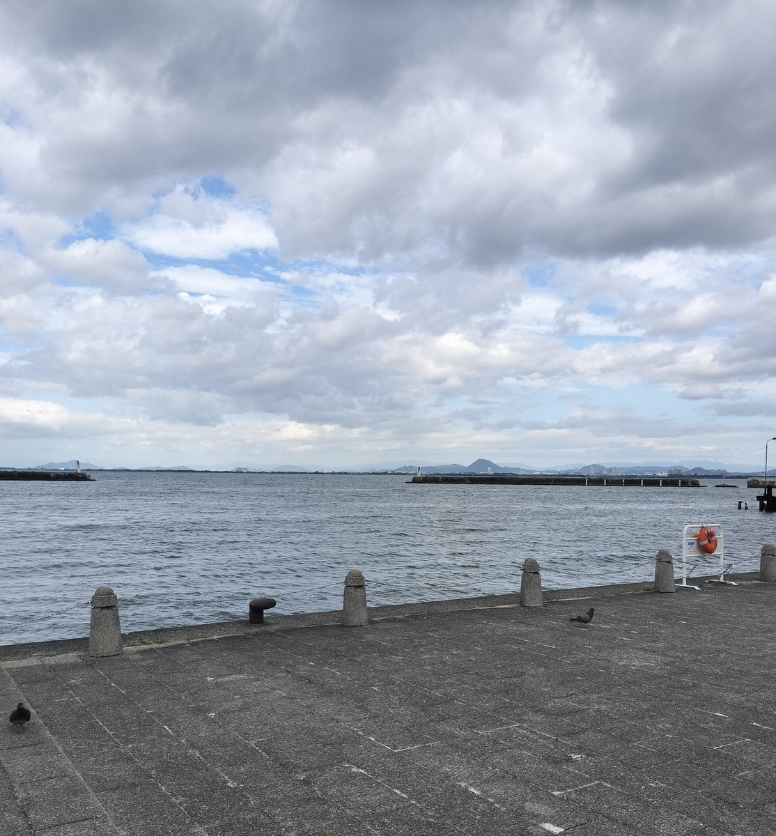 flapper_58744's tweet photo. うみが少々あれているわ
風が騒いでいるわ
でも涼しいわ
そして鳩だわ https://t.co/vonHEZUStL
