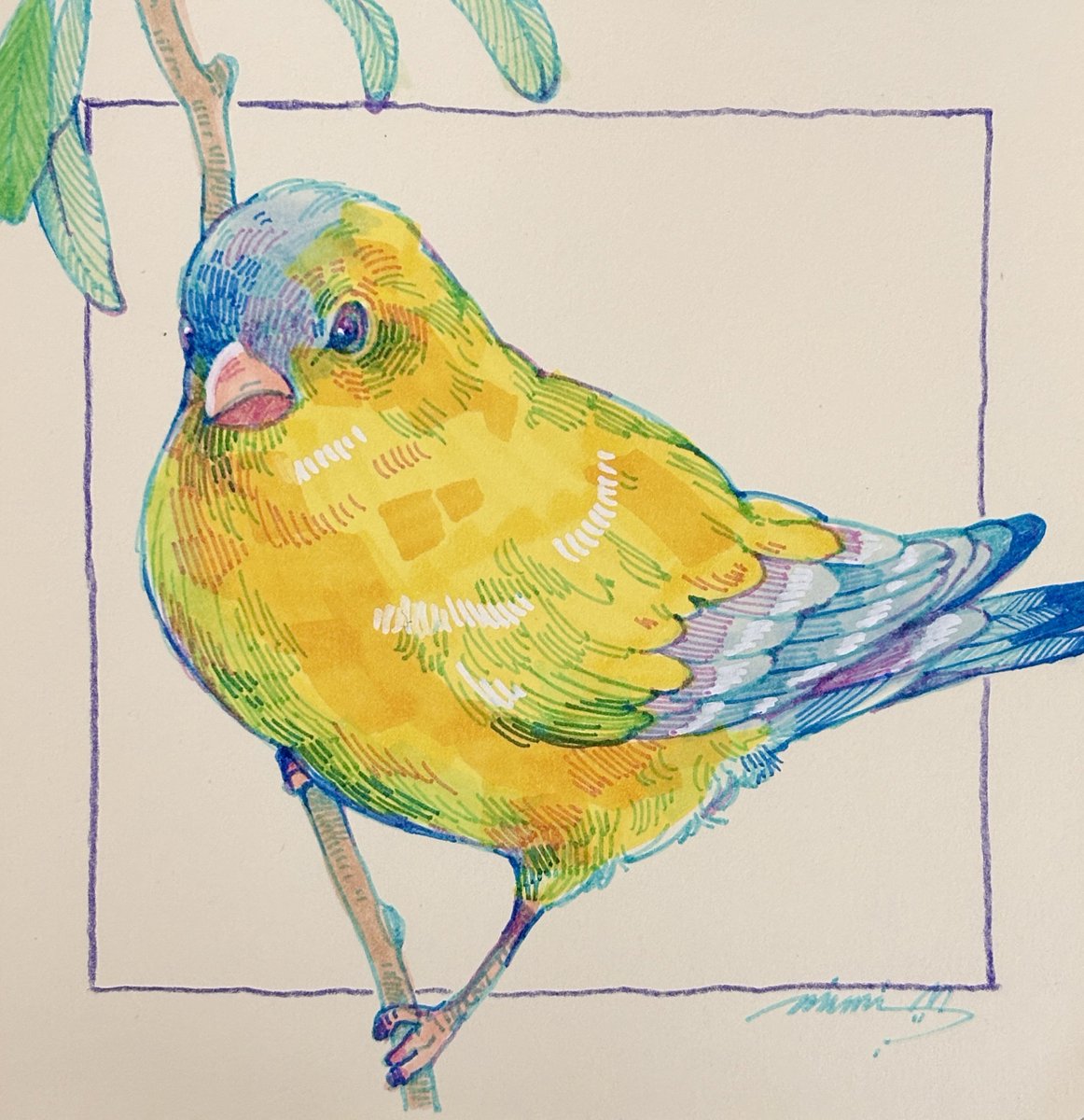 mikaku_mimi's tweet photo. 今日の絵🦜

#drawing https://t.co/5mavxwbbOY