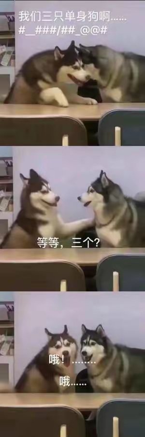 QWQMvp's tweet photo. @CyberKanjousen (⋟﹏⋞) https://t.co/iwl8yjakRN