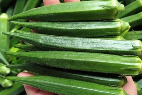 MMerci7's tweet photo. Have you ever tried OKRA? Here are many of it's  benefits below 👇
* It helps support heart health, aids digestion, assists in blood sugar control and provides folate for a healthy pregnancy*

TRY IT in water or soup😋. If you want to know how to prepare it, please ask me. https://t.co/QKUhc9K4mf
