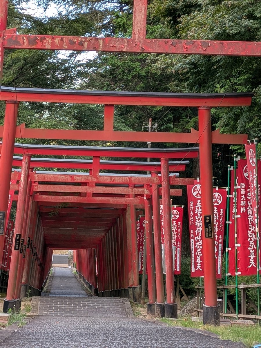 kobo8519's tweet photo. 大阪から丹波篠山へ移動🚗
都会から田園へ癒されー！
レンタサイクルで朝から日の出☀
篠山城跡など巡って来ました！朝活☝️
#丹波篠山
#朝活
#プロレス
#岡山 https://t.co/dn0svgvn5s
